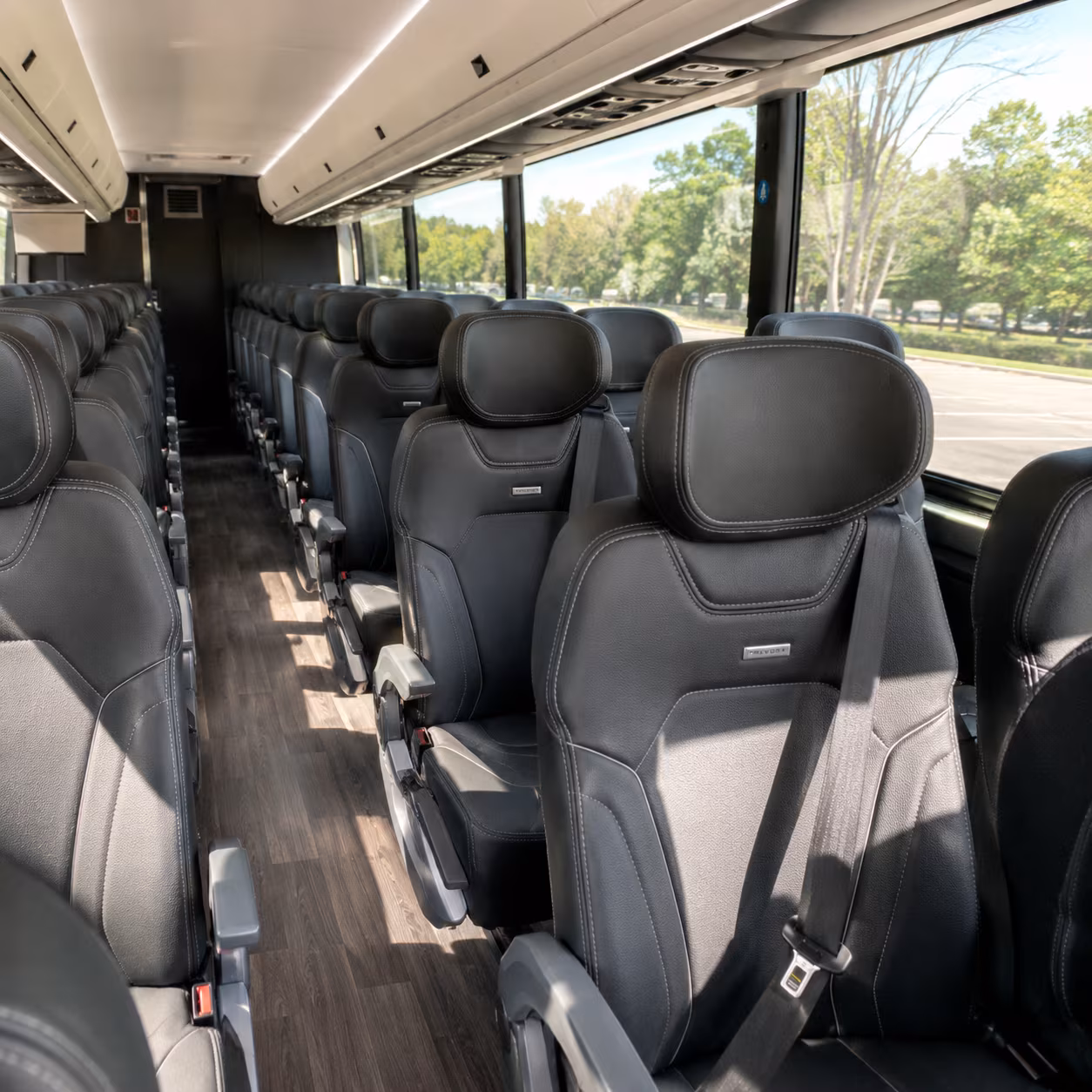 mountain view bus rentals